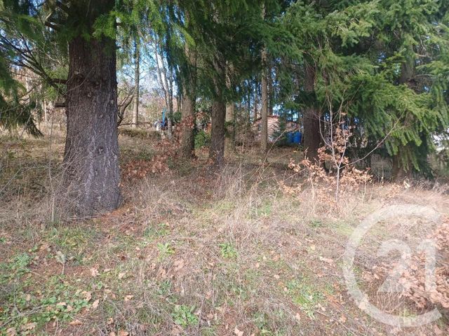 maison à vendre - 8 pièces - 208.06 m2 - VILLEVOCANCE - 07 - RHONE-ALPES - Century 21 Abita Immobilier