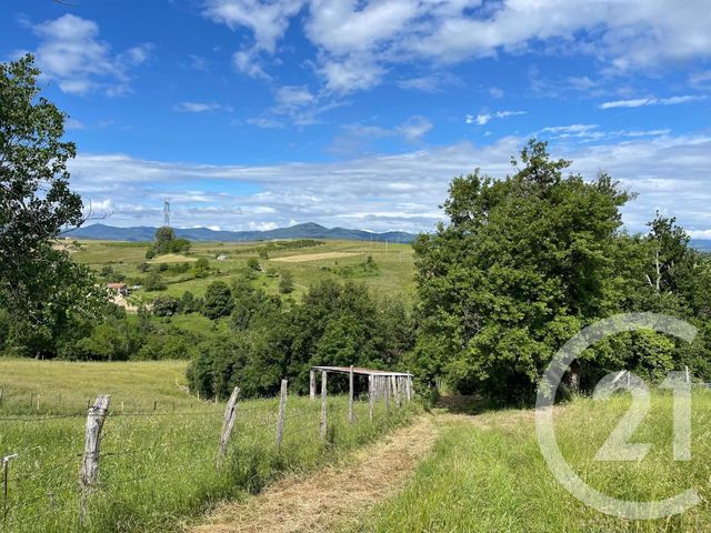 maison à vendre - 8 pièces - 229.49 m2 - SARRAS - 07 - RHONE-ALPES - Century 21 Abita Immobilier