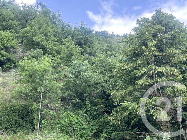 terrain à vendre - 2249.0 m2 - LIMONY - 07 - RHONE-ALPES - Century 21 Abita Immobilier