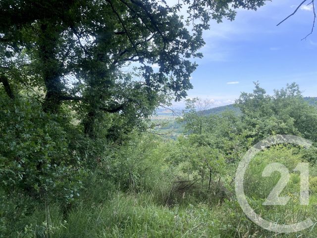 terrain à vendre - 3265.0 m2 - ST DESIRAT - 07 - RHONE-ALPES - Century 21 Abita Immobilier