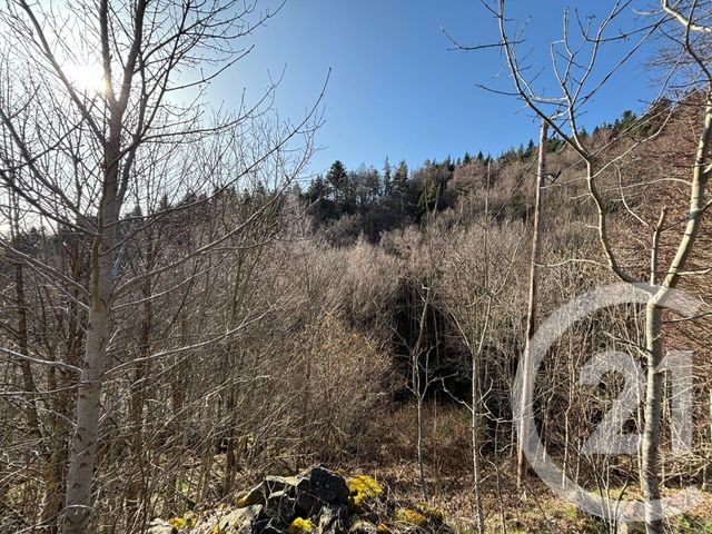 maison à vendre - 3 pièces - 50.58 m2 - VANOSC - 07 - RHONE-ALPES - Century 21 Abita Immobilier