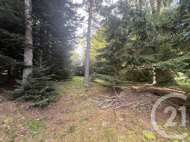 Afficher la photo en grand terrain à vendre - 17697.0 m2 - BURDIGNES - 42 - RHONE-ALPES - Century 21 Abita Immobilier