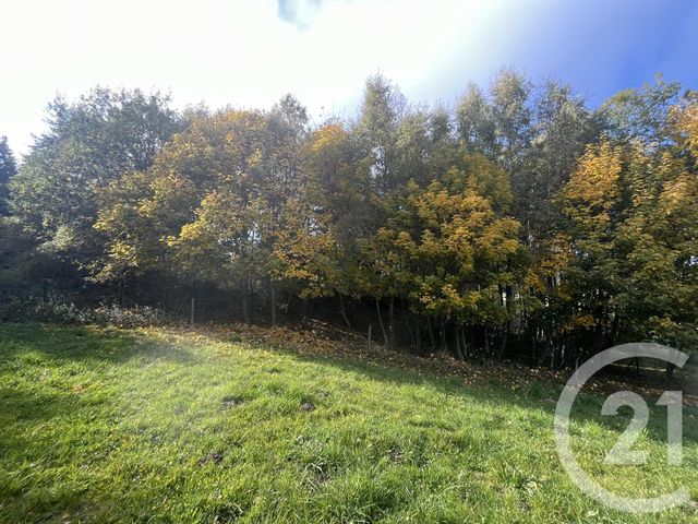Afficher la photo en grand terrain à vendre - 17697.0 m2 - BURDIGNES - 42 - RHONE-ALPES - Century 21 Abita Immobilier