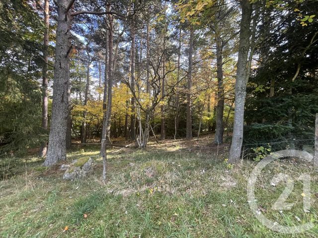 Afficher la photo en grand terrain à vendre - 17697.0 m2 - BURDIGNES - 42 - RHONE-ALPES - Century 21 Abita Immobilier