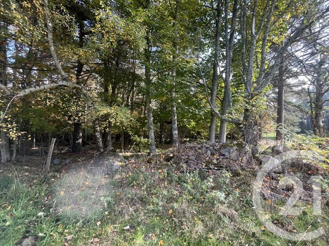 Afficher la photo en grand terrain à vendre - 17697.0 m2 - BURDIGNES - 42 - RHONE-ALPES - Century 21 Abita Immobilier