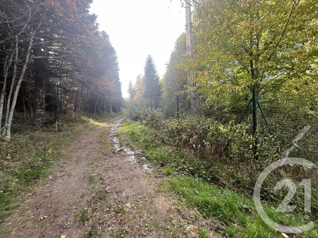 Afficher la photo en grand terrain à vendre - 17697.0 m2 - BURDIGNES - 42 - RHONE-ALPES - Century 21 Abita Immobilier