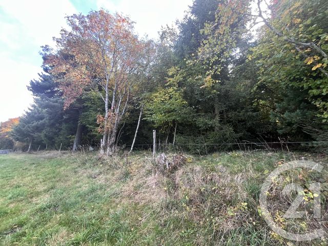 Afficher la photo en grand terrain à vendre - 17697.0 m2 - BURDIGNES - 42 - RHONE-ALPES - Century 21 Abita Immobilier