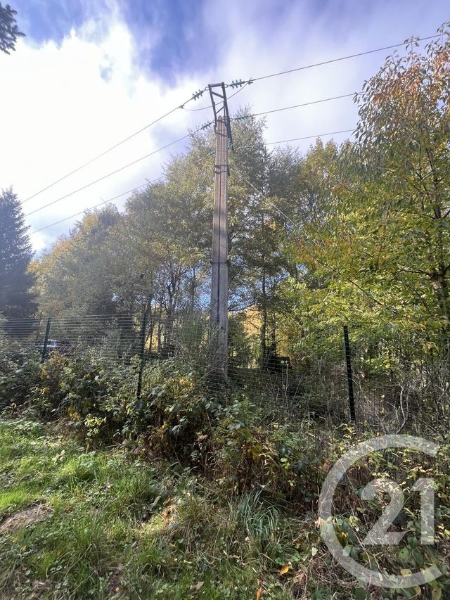 Afficher la photo en grand terrain à vendre - 17697.0 m2 - BURDIGNES - 42 - RHONE-ALPES - Century 21 Abita Immobilier