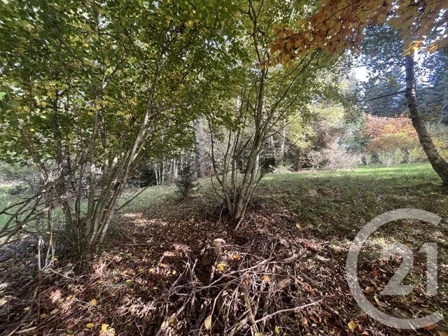 Afficher la photo en grand terrain à vendre - 17697.0 m2 - BURDIGNES - 42 - RHONE-ALPES - Century 21 Abita Immobilier