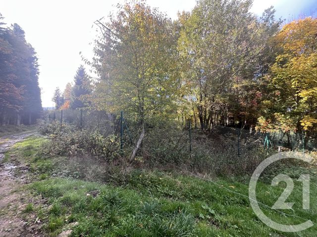 Afficher la photo en grand terrain à vendre - 17697.0 m2 - BURDIGNES - 42 - RHONE-ALPES - Century 21 Abita Immobilier