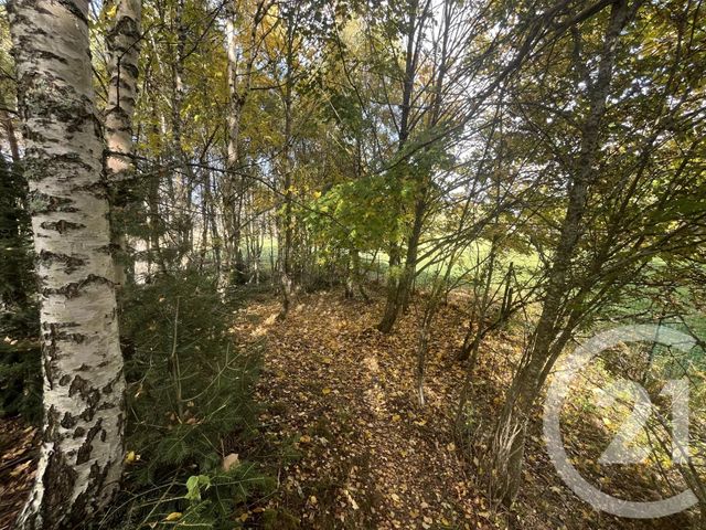 Afficher la photo en grand terrain à vendre - 17697.0 m2 - BURDIGNES - 42 - RHONE-ALPES - Century 21 Abita Immobilier