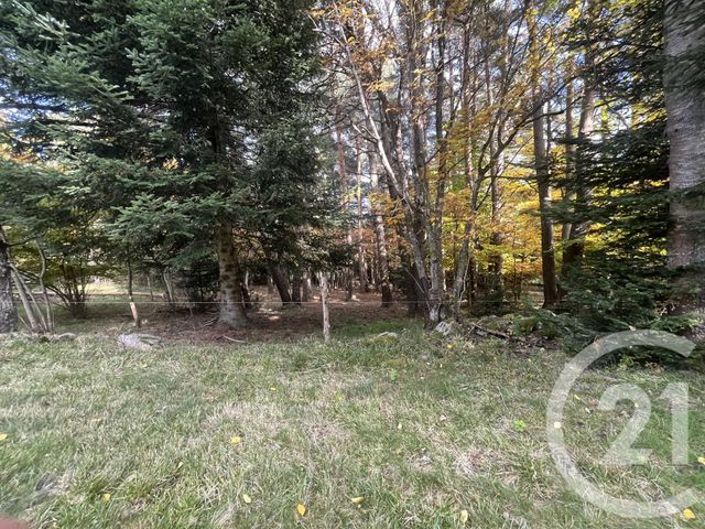 Afficher la photo en grand terrain à vendre - 17697.0 m2 - BURDIGNES - 42 - RHONE-ALPES - Century 21 Abita Immobilier