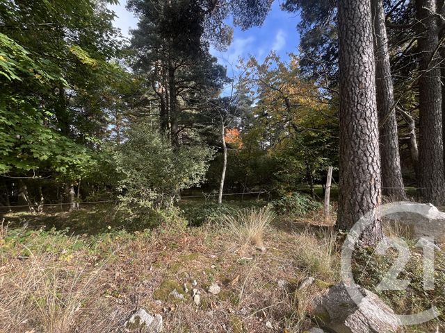 Afficher la photo en grand terrain à vendre - 17697.0 m2 - BURDIGNES - 42 - RHONE-ALPES - Century 21 Abita Immobilier