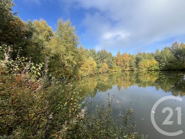 Afficher la photo en grand terrain à vendre - 17697.0 m2 - BURDIGNES - 42 - RHONE-ALPES - Century 21 Abita Immobilier