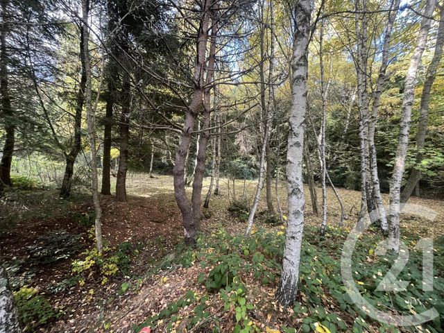Afficher la photo en grand terrain à vendre - 17697.0 m2 - BURDIGNES - 42 - RHONE-ALPES - Century 21 Abita Immobilier
