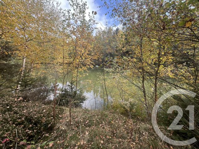 Afficher la photo en grand terrain à vendre - 17697.0 m2 - BURDIGNES - 42 - RHONE-ALPES - Century 21 Abita Immobilier