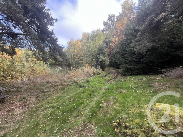 Afficher la photo en grand terrain à vendre - 17697.0 m2 - BURDIGNES - 42 - RHONE-ALPES - Century 21 Abita Immobilier