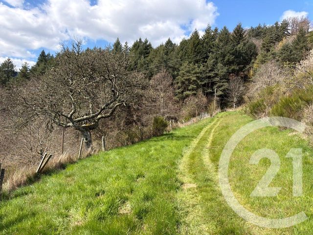 maison à vendre - 7 pièces - 184.0 m2 - ANNONAY - 07 - RHONE-ALPES - Century 21 Abita Immobilier