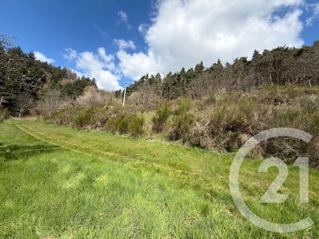 maison à vendre - 7 pièces - 184.0 m2 - ANNONAY - 07 - RHONE-ALPES - Century 21 Abita Immobilier