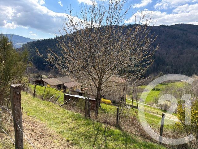 maison à vendre - 7 pièces - 184.0 m2 - ANNONAY - 07 - RHONE-ALPES - Century 21 Abita Immobilier