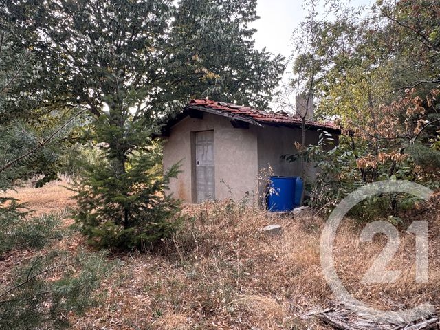 terrain à vendre - 2999.0 m2 - ST ALBAN D AY - 07 - RHONE-ALPES - Century 21 Abita Immobilier