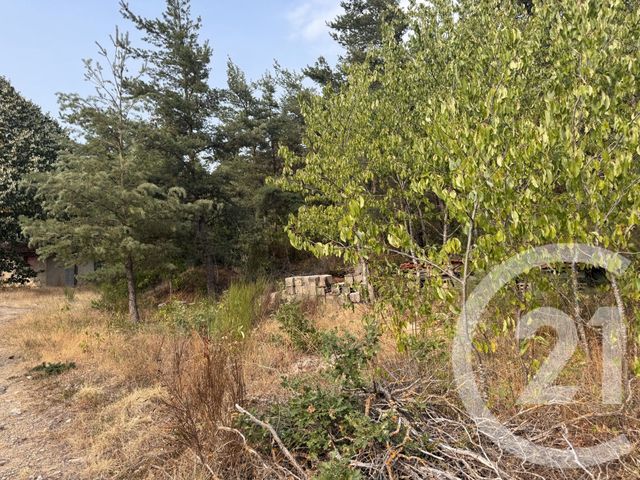 terrain à vendre - 2999.0 m2 - ST ALBAN D AY - 07 - RHONE-ALPES - Century 21 Abita Immobilier