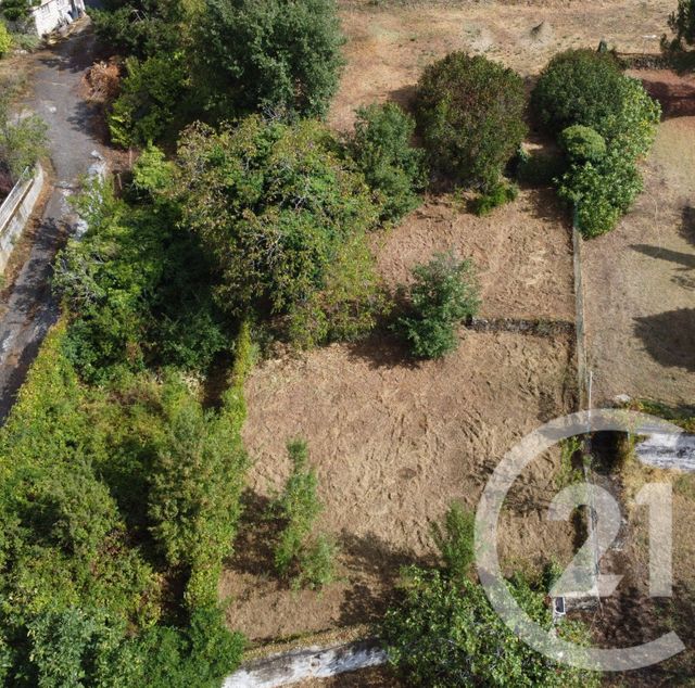 terrain à vendre - 1050.0 m2 - DAVEZIEUX - 07 - RHONE-ALPES - Century 21 Abita Immobilier